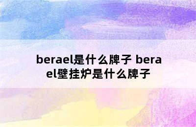 berael是什么牌子 berael壁挂炉是什么牌子